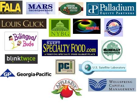 Montage of consulting client logos